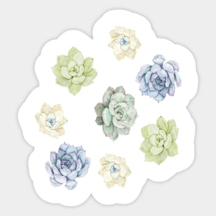 jolie collection de fleurs de cactus en aquarelle Sticker